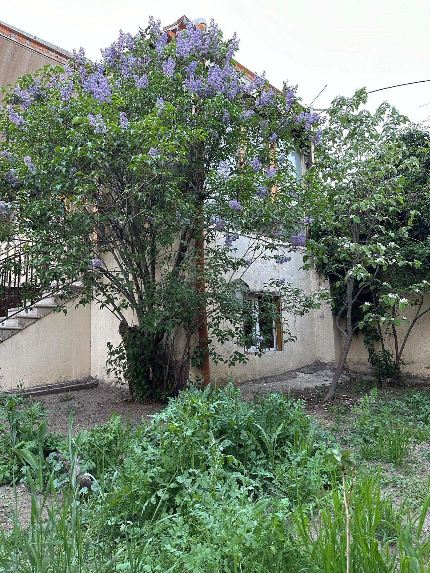 Popock City Center Yerevan Exterior photo